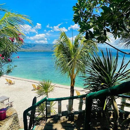 La Concepcion Cove Garden Resort モアルボアル エクステリア 写真