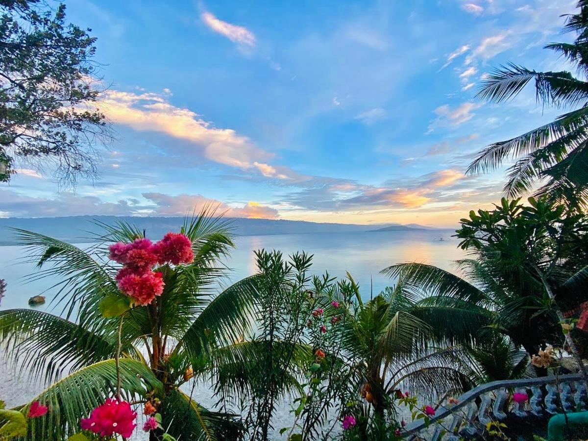 La Concepcion Cove Garden Resort モアルボアル エクステリア 写真