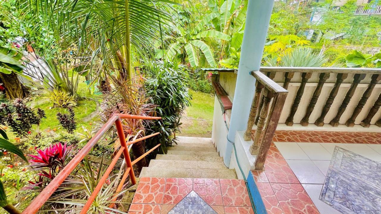 La Concepcion Cove Garden Resort モアルボアル エクステリア 写真