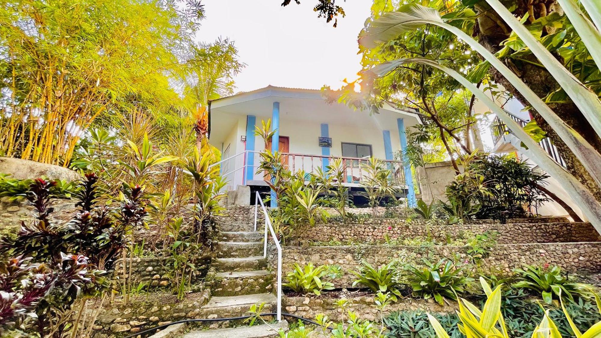 La Concepcion Cove Garden Resort モアルボアル エクステリア 写真