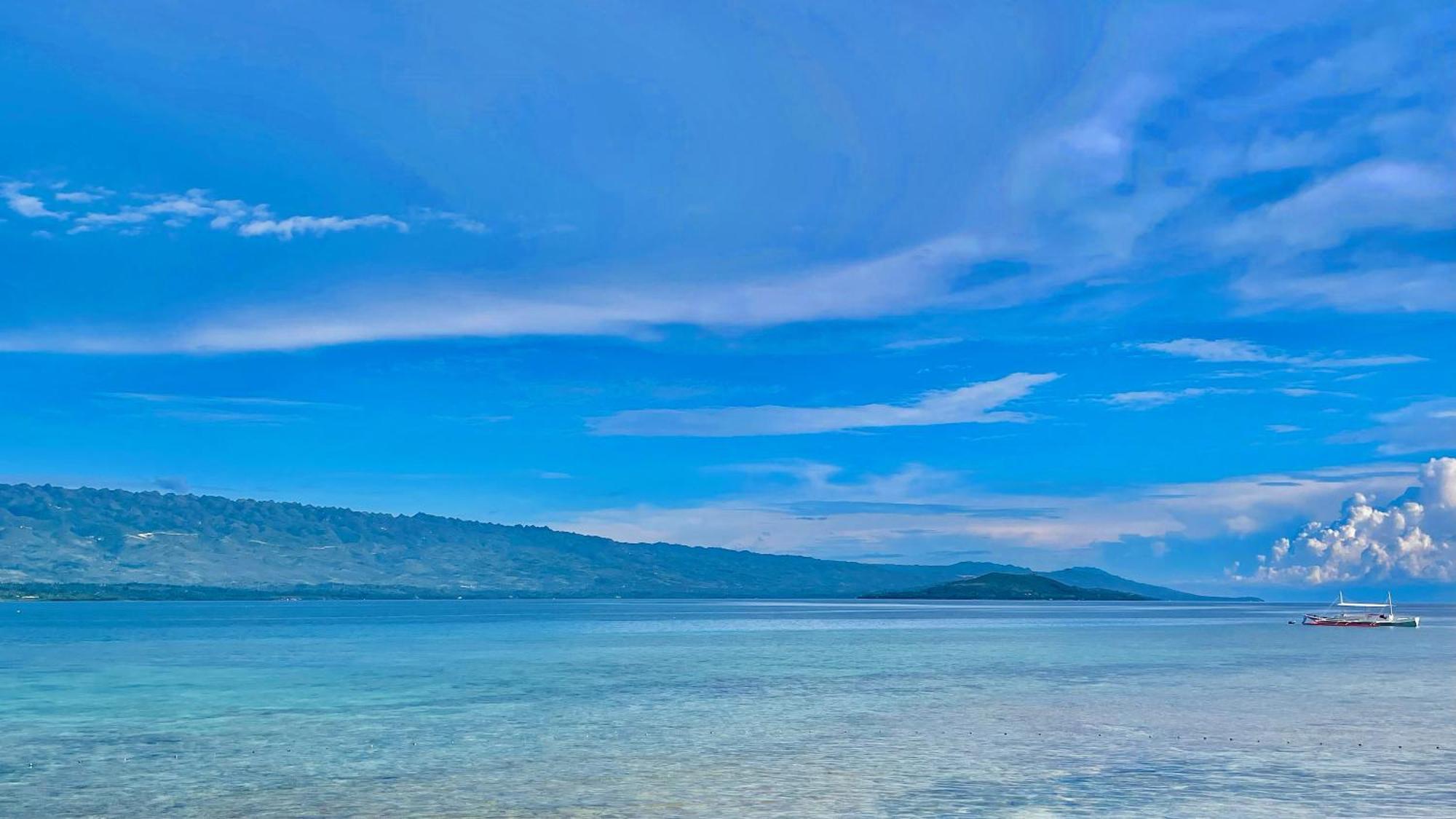 La Concepcion Cove Garden Resort モアルボアル エクステリア 写真