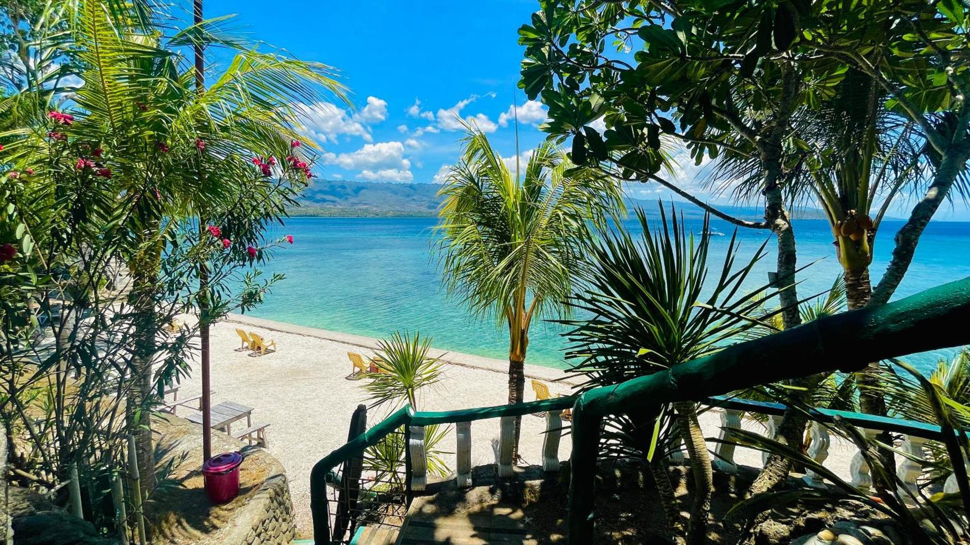 La Concepcion Cove Garden Resort モアルボアル エクステリア 写真