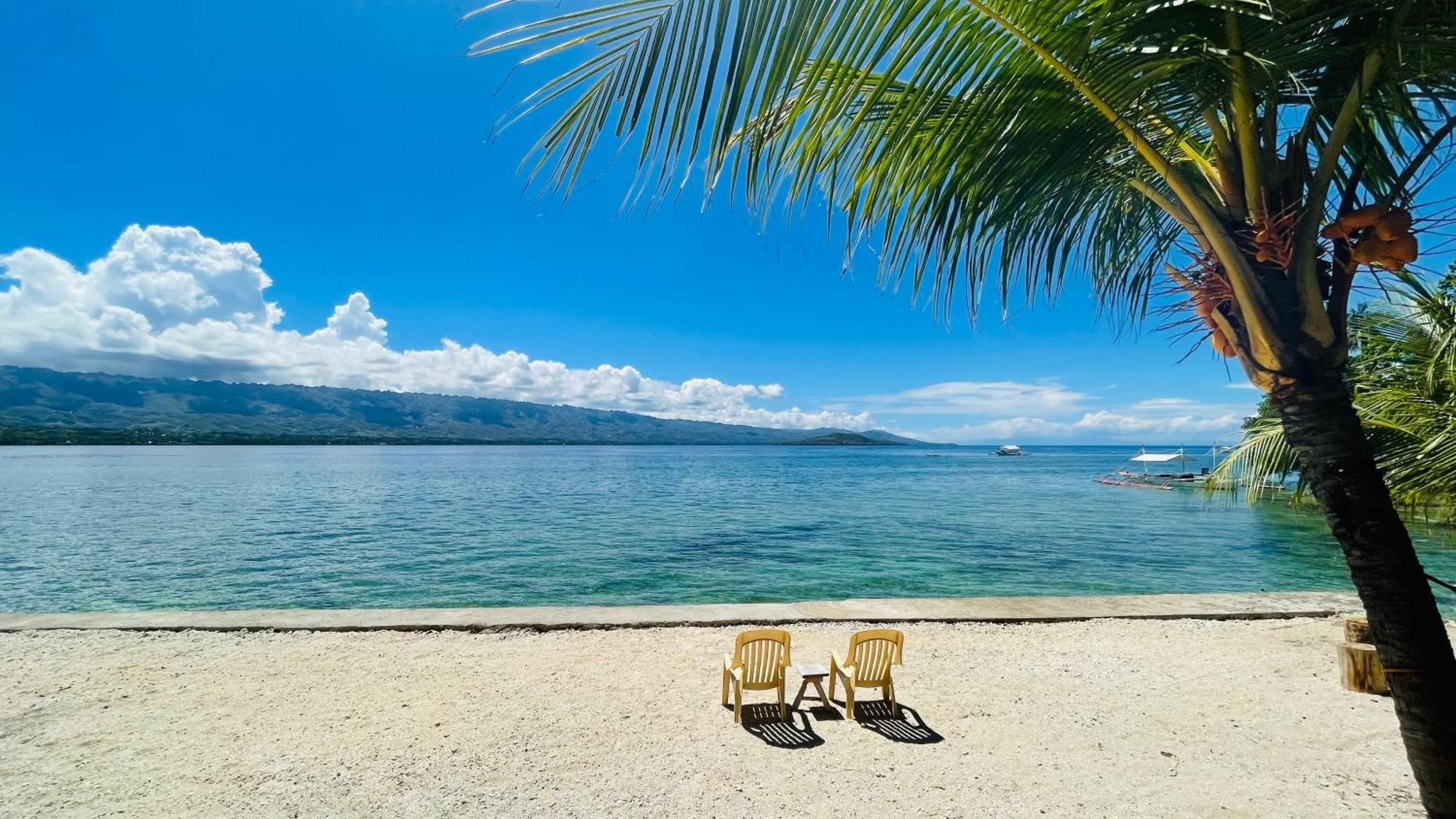 La Concepcion Cove Garden Resort モアルボアル エクステリア 写真