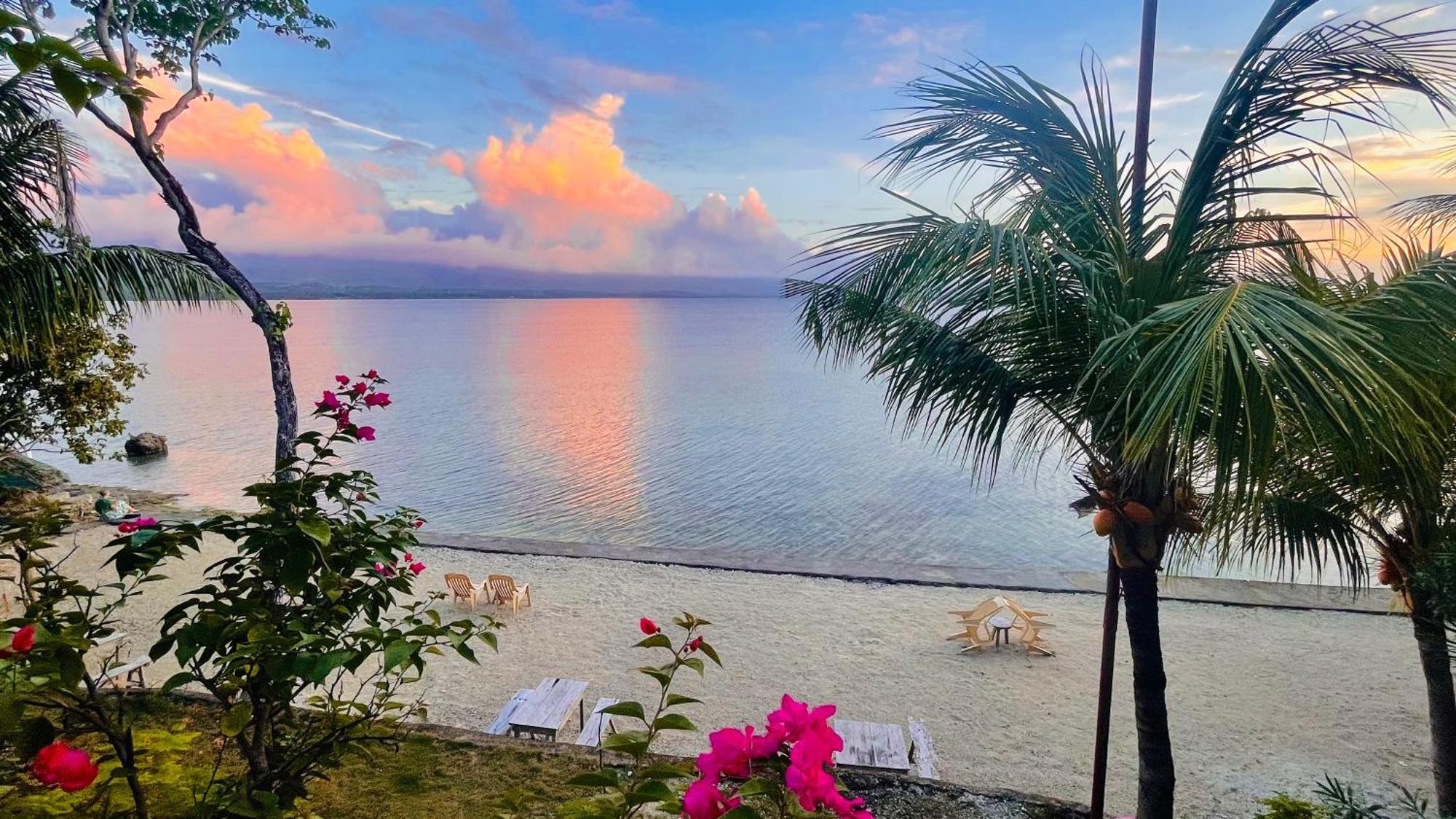 La Concepcion Cove Garden Resort モアルボアル エクステリア 写真